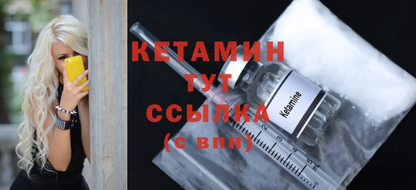 шишки Горно-Алтайск