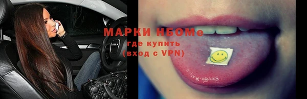 прущий лед Вяземский