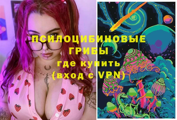 шишки Горно-Алтайск