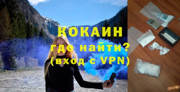 шишки Горно-Алтайск