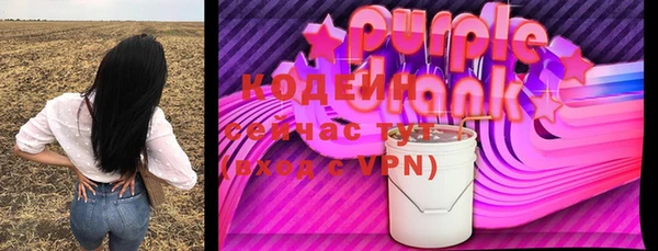прущий лед Вяземский