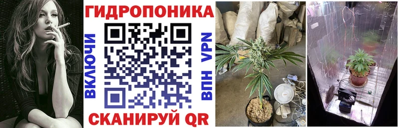 Купить закладки  Киренск  МАРИХУАНА семена 